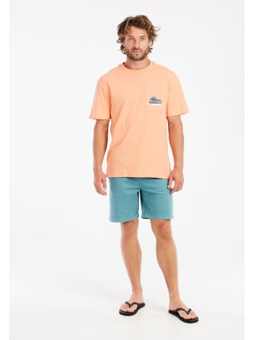 Protest " PRTHoover in Arctic Green