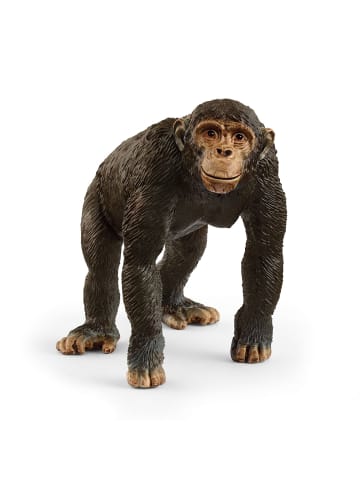 Schleich Schimpanse in Mehrfarbig ab 3 Jahre
