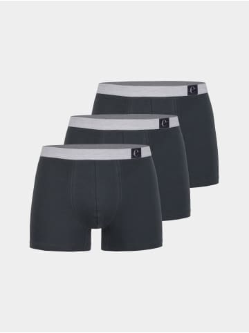 Erlich Textil  Boxershorts im 3er Pack GUSTAV in graphit