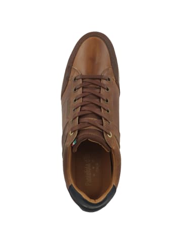 Pantofola D'Oro Sneaker low Roma Uomo Low in braun