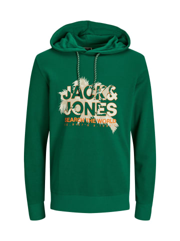 Jack & Jones Hoodie 'Marina' in grün