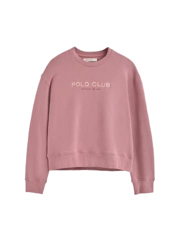 Polo Club Sweatshirt in Puderrosa