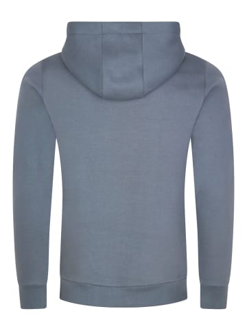 DENIMFY Pullover DFIvo in Blau