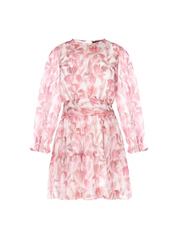 faina Women Dress in rose multicolor