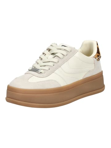 Steve Madden Sneaker in Weiß