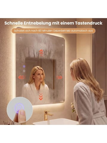 COSTWAY Badspiegel mit Beleuchtung 70 x 50 cm in Silber