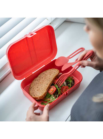 koziol PASCAL L * - Lunchbox mit Trennsteg in nature coral