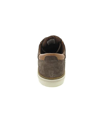 Camel Active Sneaker low Braun
