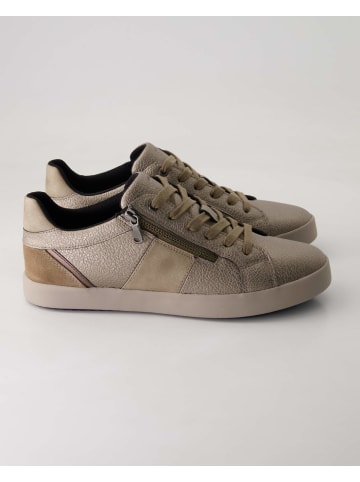 Geox Sneaker low in Bronze