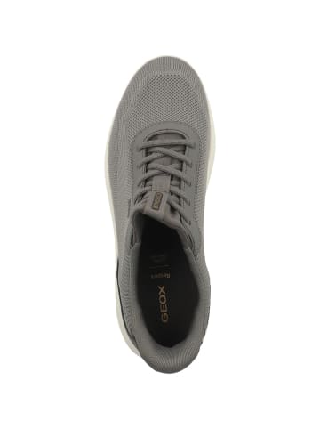 Geox Sneaker low U Spherica Plus A in dunkelgrau