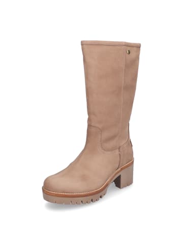 PANAMA JACK Stiefel Patricia in Taupe