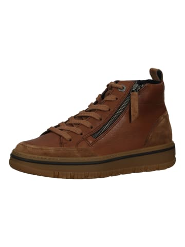 Paul Green Sneaker in Toffee