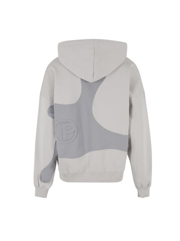 PEGADOR Sweat & Fleece - Hoody in washed clear grey