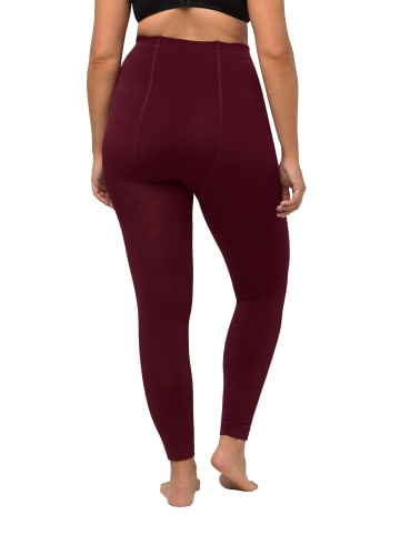 Ulla Popken Strumpfhose in bordeauxrot