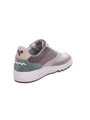 Floris van Bommel Schnürschuh in braun