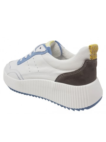 Palpa Sneaker  in Weiß