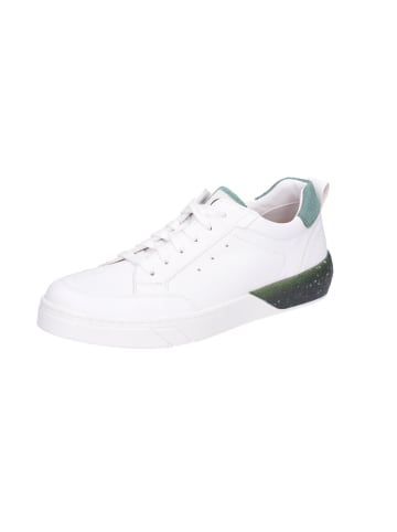 Josef Seibel Schnürschuhe in weiß