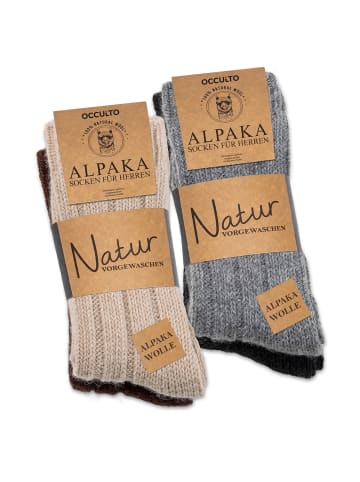 Occulto 4er Pack Alpaka Socken Sol in Mix