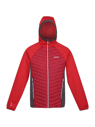 Regatta Steppjacke Andreson VII Hybrid in Rot