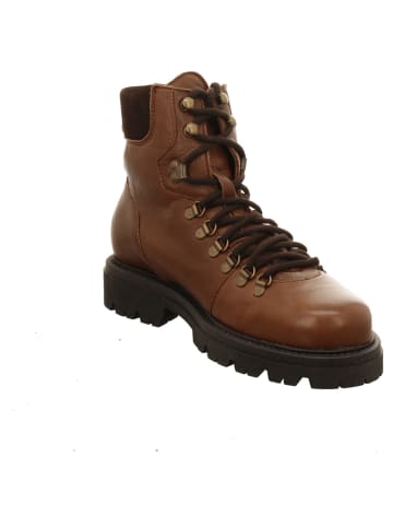 Werner Schnürstiefeletten in braun