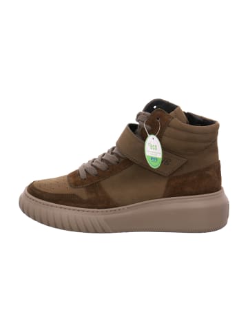 Paul Green Sneaker High in Oliv