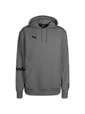 Puma Hoodie Hoops Team in grau / schwarz