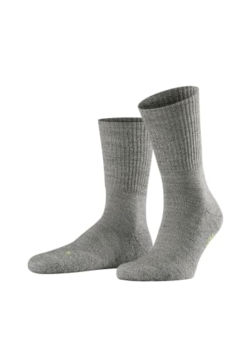 Falke Socken 2er Pack in Grau