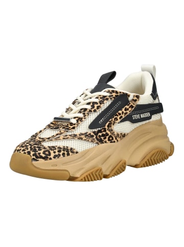 Steve Madden Sneaker in Leopard