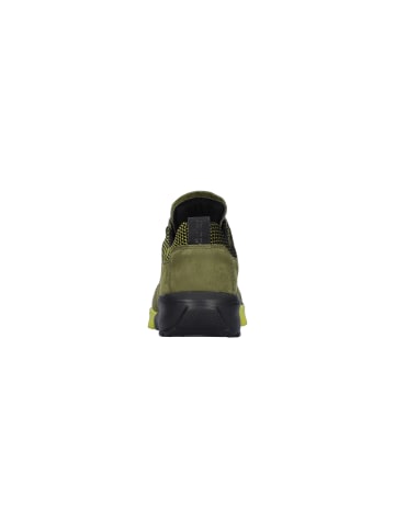 WALDLÄUFER Amiata Amiata in schwarz olive