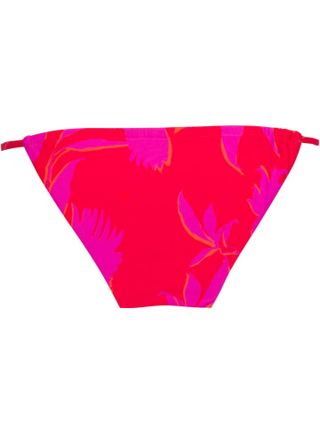 Seafolly Bikini Hose Birds of Paradise in chilli red