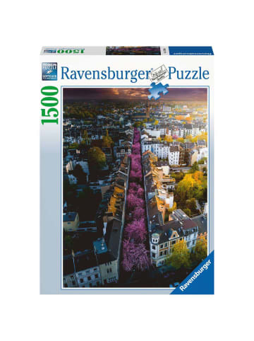 Ravensburger Puzzle 1.500 Teile Blühendes Bonn Ab 14 Jahre in bunt