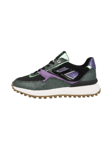 Floris van Bommel Sneaker low Noppi 36.13 in hellblau