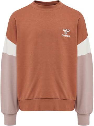 Hummel Sweatshirt Hmlbetzy Sweatshirt in COPPER BROWN