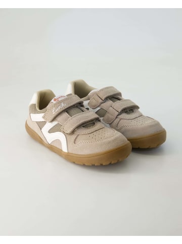 Lurchi Klettschuhe in Beige