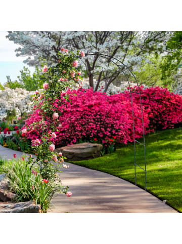 relaxdays 2 x Rankhilfe in Grün - (B)140 x (H)240 x (T)38 cm