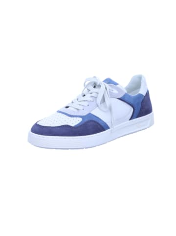 Sioux Sneaker Low in blau