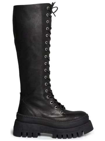 Steve Madden Stiefel in Schwarz