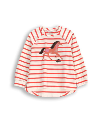 Coccodrillo Langarmshirt in bunt