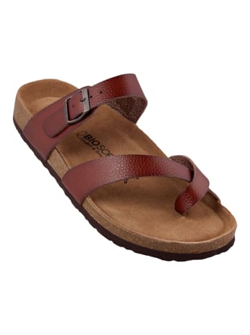 BIOSOFT Sandalen Kai in Braun