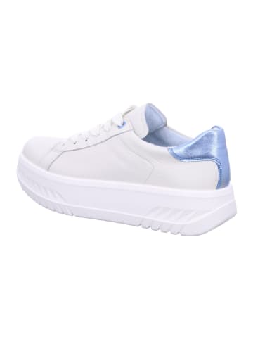 ara Sneaker Low in weiß