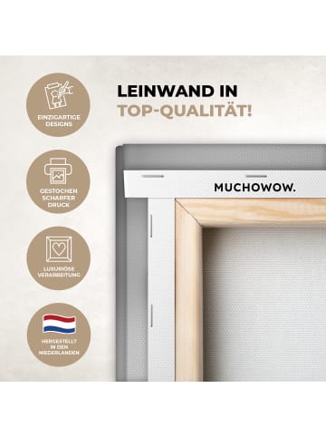 MuchoWow Leinwand bilder Schottisches Hochlandrind (BxH)