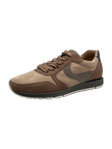 Gabor Sportliche Schnürschuhe in Beige