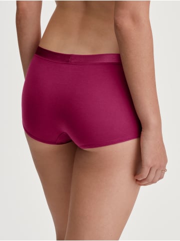 Calida Panty in dahlia pink