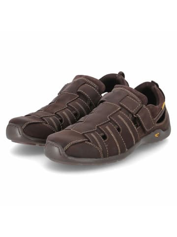 Camel Active Slipper in braun