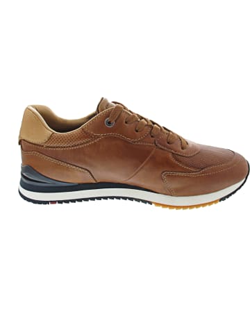 LLOYD Enos Sneaker low Braun