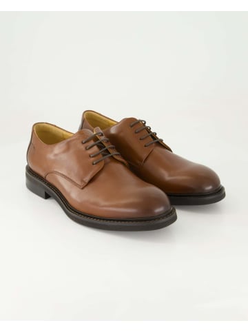 DIGEL Anzug- & Businessschuhe in Braun