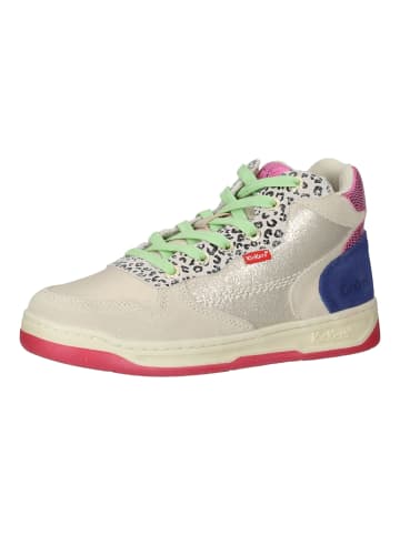 Kickers Sneaker in Multicolor