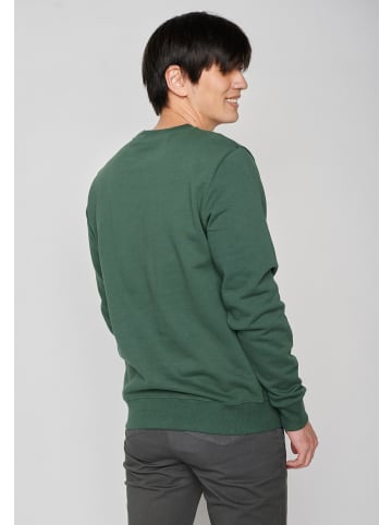 GreenBomb Sweatshirt Animal Raccoon City in Flaschen Grün