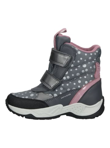 Geox Stiefelette in Grau/Pink