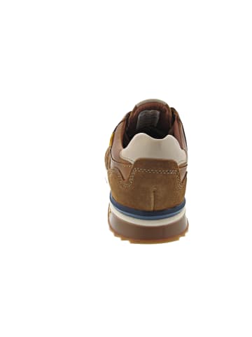 Camel Active Sneaker Braun